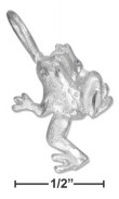
Sterling Silver Small DC Frog Charm
