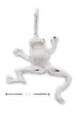 
Sterling Silver Satin/DC Frog Charm
