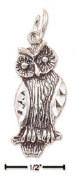 
Sterling Silver Antiqued Owl Charm
