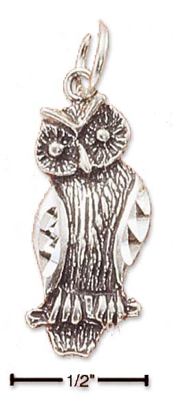 
Sterling Silver Antiqued Owl Charm
