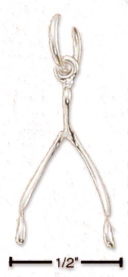 
Sterling Silver Wishbone Charm

