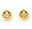 
14k Yellow 5 mm Ball Stud Earrings
