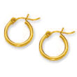 
10k Yellow 2 mm Hoop Earrings
